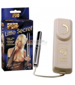 Silvia Saint Little Secret