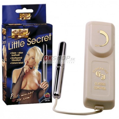 Silvia Saint Little Secret