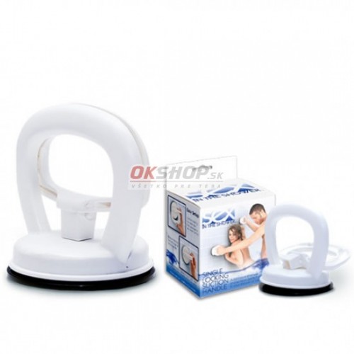 Sex in the Shower - Single Locking Suction Handle