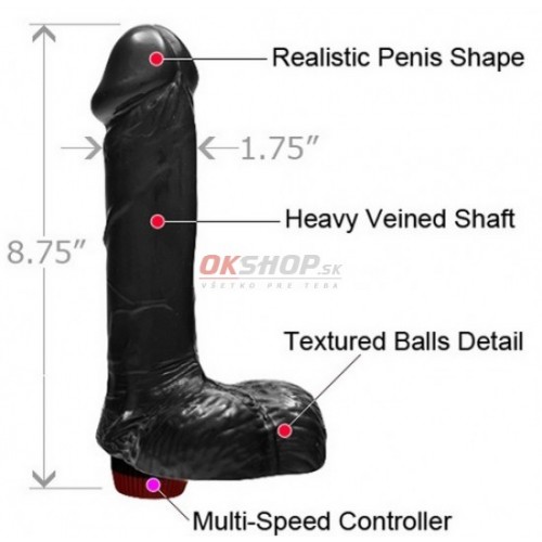 Realistic Vibrating Cock with Balls 7