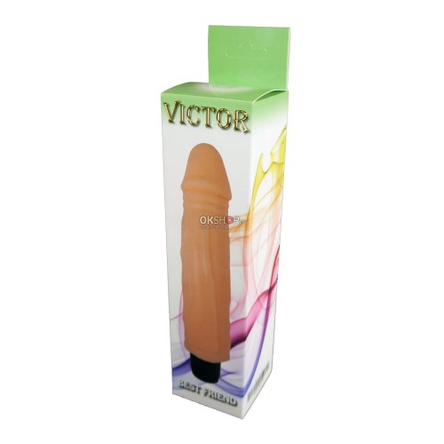 Vibrator-VICTOR