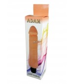 Vibrator-ADAM, 7 FUNCTION