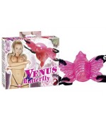 Venus butterfly 
